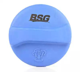 Запор (BSG: BSG 90-551-001)